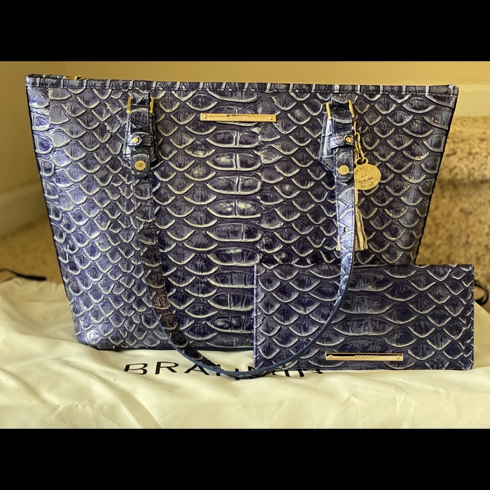 Brahmin medium Asher